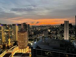 Soleil @ Sinaran (D11), Condominium #500515981